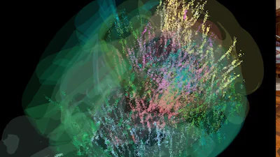 Scientists Map 600,000 Neurons to Show How the Brain Makes Decisions Scientists Map 600,000 Neurons to Show How the Brain Makes Decisions